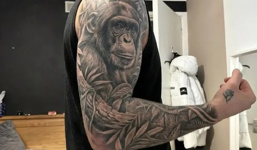The same arm with a black and grey chimpanzee and jungle sleeve placed on it.